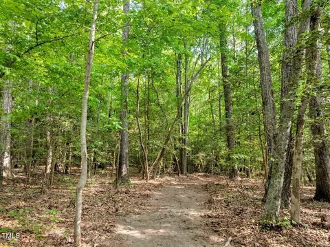 1 95 Acres Buchanan Rd, Manson, NC 27553 photo 12