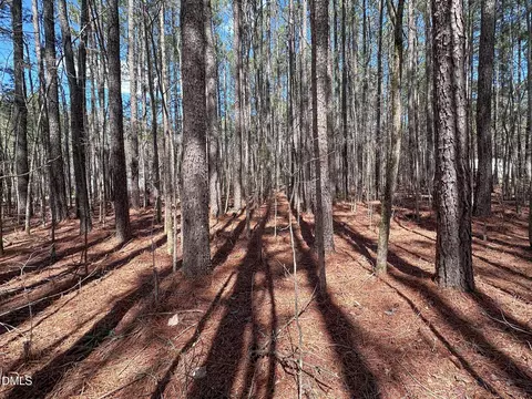 00 Slick Williams Rd, Macon, NC 27551 photo 6