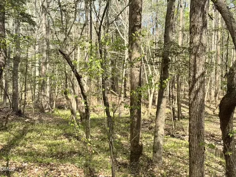 0 Westerman Pl, Smithfield, NC 27577 photo 6