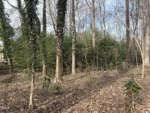 0 Wimbledon Dr, Roxboro, NC 27573 photo 3