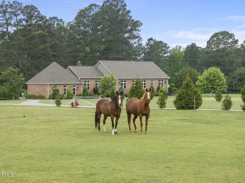 8042 N Nc Hwy 58, Castalia, NC 27816