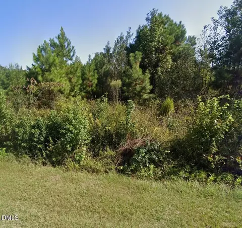 0 Darden Rd, Faison, NC 28341 photo 3