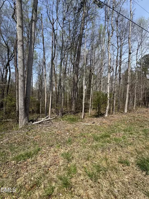 0 Hurdle Mills Rd, Roxboro, NC 27574