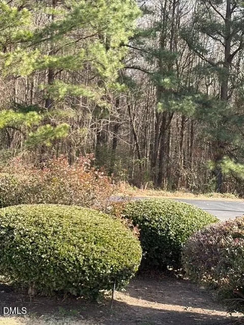 650 E Jackson Blvd, Erwin, NC 28339 photo 6