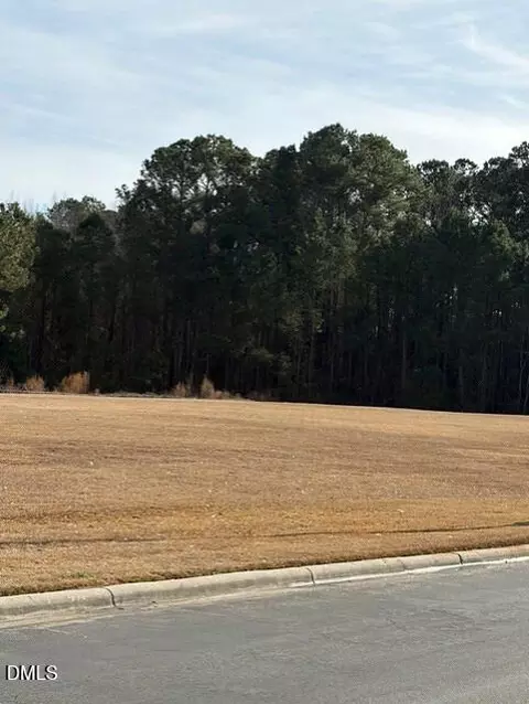 660 E Jackson Blvd, Erwin, NC 28339 photo 3