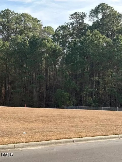 660 E Jackson Blvd, Erwin, NC 28339 photo 4