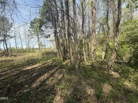 73 Hall Rd, Erwin, NC 28339 photo 5