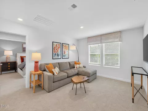 Other - 62 Thistle Patch Pl, Angier, NC 27501 photo 3 of 4