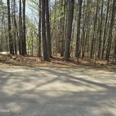 133 Sequoia Dr, Louisburg, NC 27549