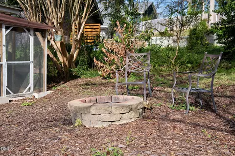 Exterior - 217 Moline, Durham, NC 27707 photo 6 of 10