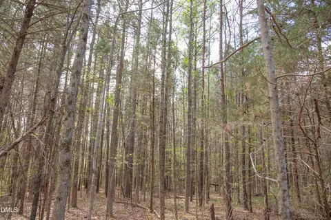 00 Tatum Road Rd, Roxboro, NC 27574 photo 20