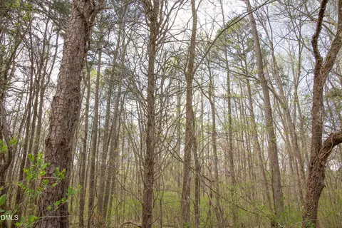 00 Tatum Road Rd, Roxboro, NC 27574 photo 18