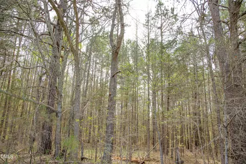 00 Tatum Road Rd, Roxboro, NC 27574 photo 16