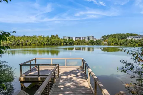 View/Area - 700 Hyperion Aly, Wake Forest, NC 27587 photo 7 of 9