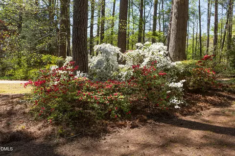 Exterior - 6119 Splitrock Trl, Apex, NC 27539 photo 11 of 26