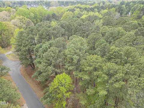 View/Area - 6119 Splitrock Trl, Apex, NC 27539 photo 5 of 6