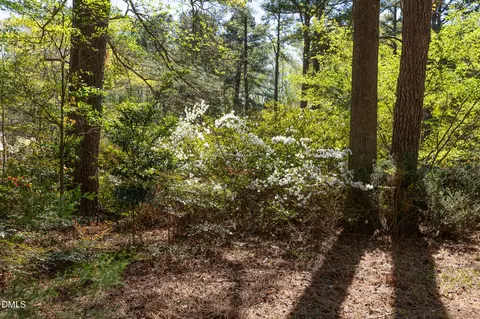 Exterior - 6119 Splitrock Trl, Apex, NC 27539 photo 19 of 26