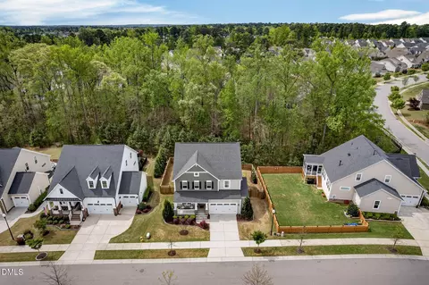 View/Area - 721 Hydrangea Field Ct, Wake Forest, NC 27587 photo 2 of 7