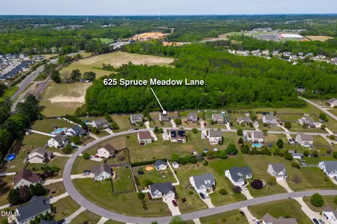 View/Area - 625 Spruce Meadows Ln, Willow Spring, NC 27592 photo 3 of 3