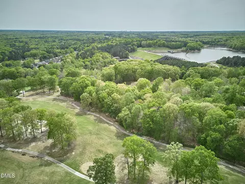 View/Area - 1216 E Pointe Dr, Durham, NC 27712 photo 12 of 14