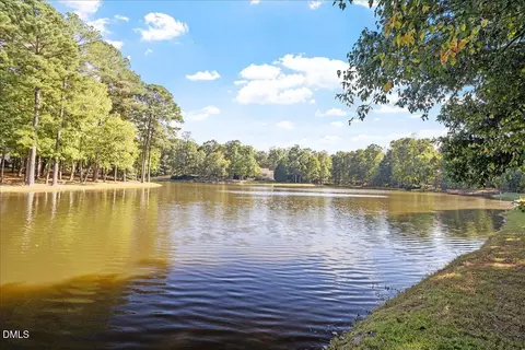 View/Area - 5228 Mill Dam Rd, Wake Forest, NC 27587 photo 7 of 8