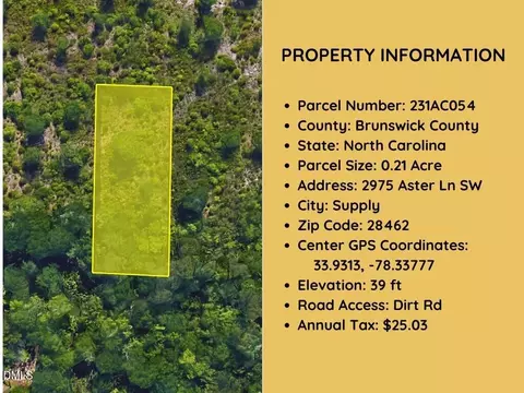 2975 Aster Ln SW, Supply, NC 28452