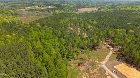 lot3 Social Plain Rd, Middlesex, NC 27557 photo 7