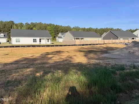 48 Loganberry Ave, Bunnlevel, NC 28323 photo 6