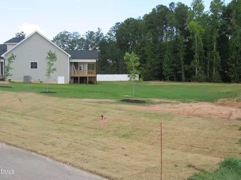 Exterior - 317 Coats Ridge Dr, Benson, NC 27504 photo 4 of 24
