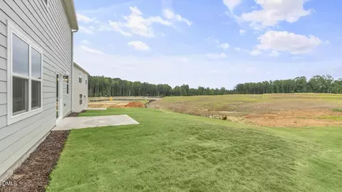 721 Sparkling Pear Dr, Willow Springs, NC 27592 photo 32