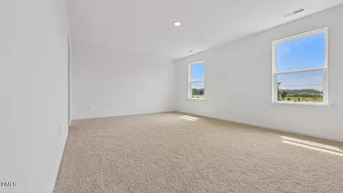 721 Sparkling Pear Dr, Willow Springs, NC 27592 photo 21