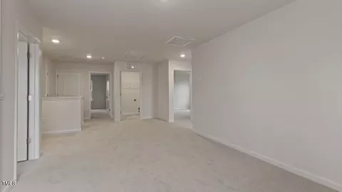 721 Sparkling Pear Dr, Willow Springs, NC 27592 photo 12