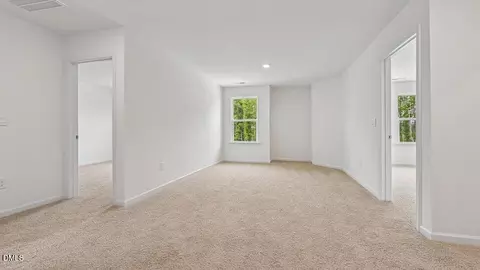 721 Sparkling Pear Dr, Willow Springs, NC 27592 photo 16