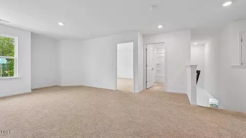 721 Sparkling Pear Dr, Willow Springs, NC 27592 photo 23