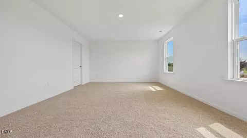 721 Sparkling Pear Dr, Willow Springs, NC 27592 photo 22