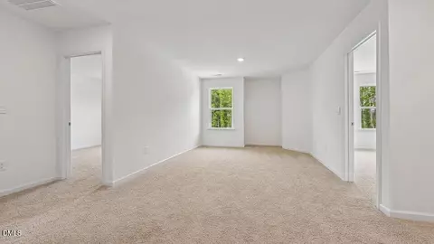 721 Sparkling Pear Dr, Willow Spring, NC 27592 photo 16