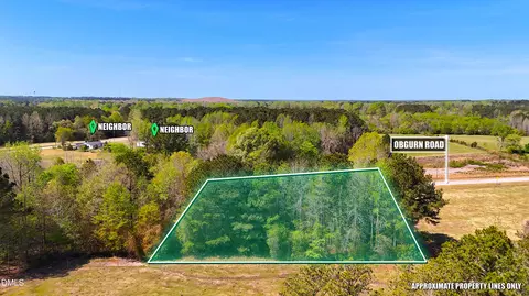 0 Ogburn Rd, Smithfield, NC 27577 photo 4