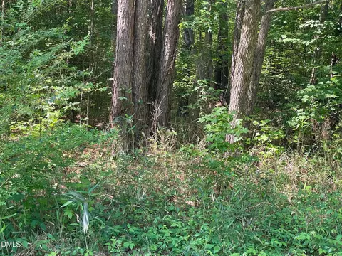 242 Landmark Rd, Willow Springs, NC 27592 photo 3