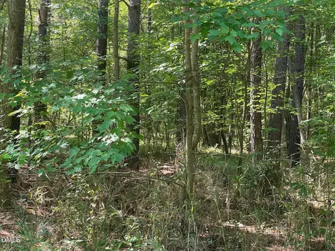 242 Landmark Rd, Willow Springs, NC 27592 photo 2