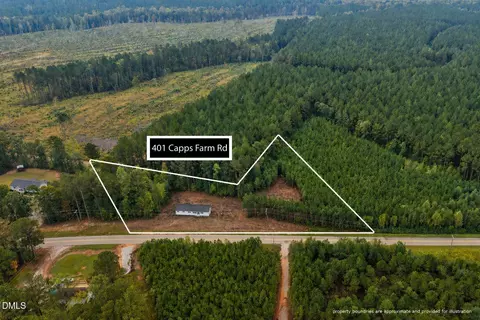 401 Capps Farm Rd, Hollister, NC 27844