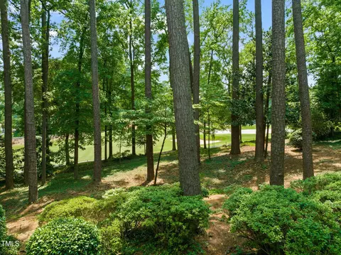 3317 Devon Rd, Durham, NC 27707 photo 43