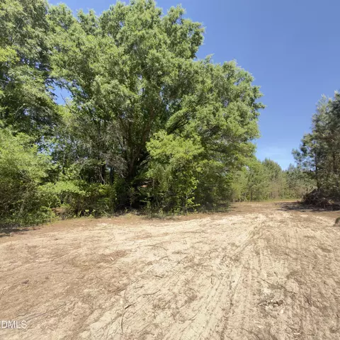 lot4 New Creech Rd, Selma, NC 27576