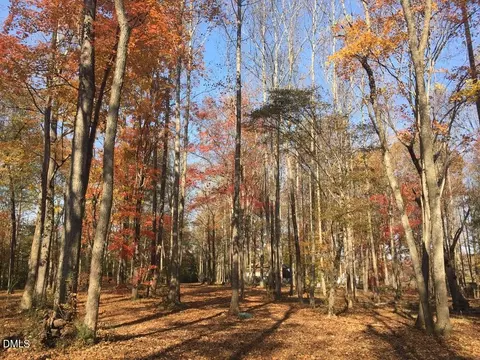Exterior - 4583 Lambeth Mill Rd, Bennett, NC 27208 photo 6 of 6