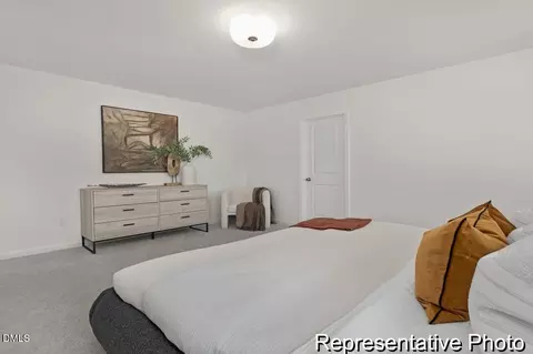 76 Cedarbranch Way #193, Erwin, NC 28339 photo 14
