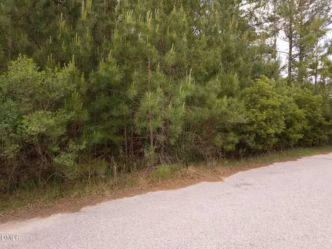 127 Chason Ter, Sanford, NC 27332