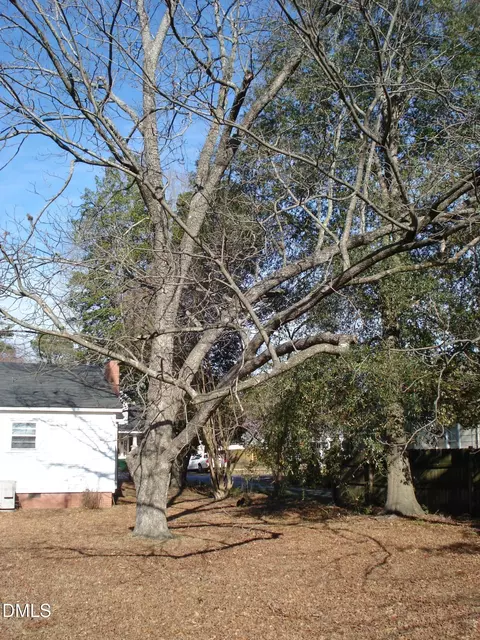 Exterior - 202 N Wayne Ave, Dunn, NC 28334 photo 4 of 13