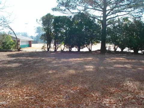 Exterior - 202 N Wayne Ave, Dunn, NC 28334 photo 5 of 13