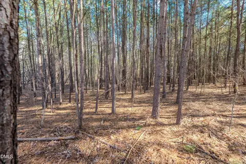 6724 Wimberly Rd, Willow Springs, NC 27592 photo 30