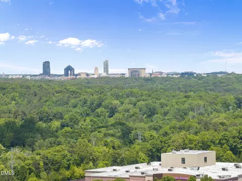 View/Area - 220 Grey Elm Trl, Durham, NC 27713 photo 2 of 2