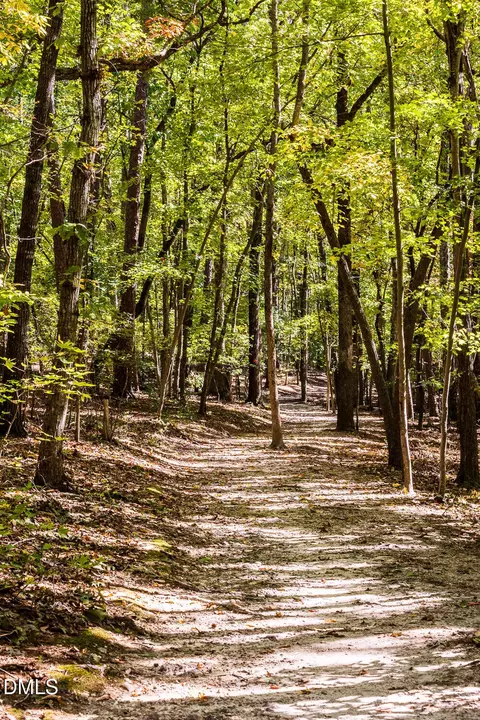 Other - 61 Shay St, Angier, NC 27501 photo 23 of 25